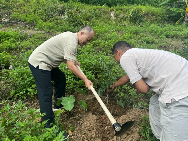 1692171917493067259.jpg 1副本.jpg