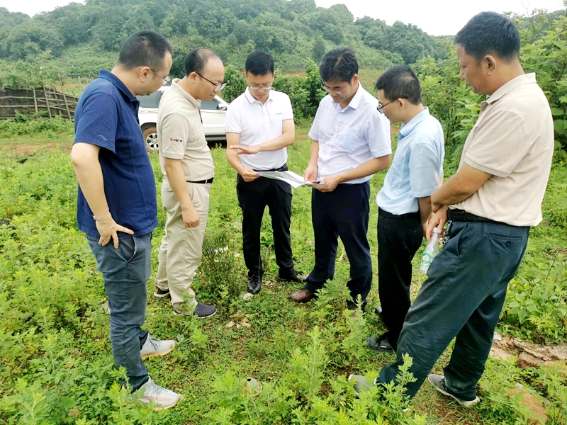 1692672630885037936.jpg 2222.jpg