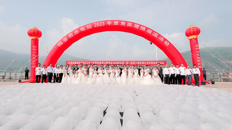 1694421336505002750.jpg 放流 插图 (3)_副本.jpg