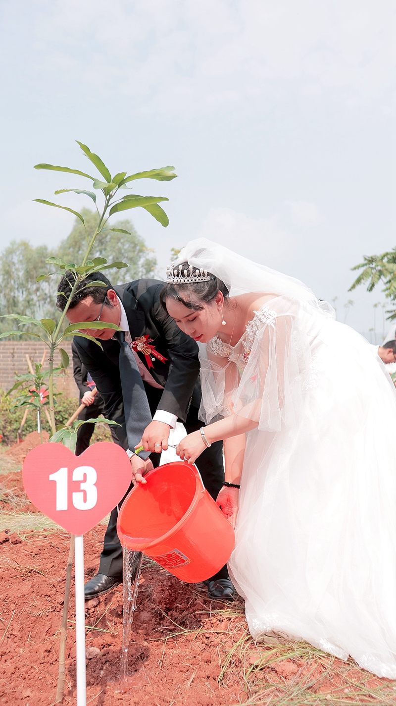 1694421366880014523.jpg 植树 插图 (3)_副本.jpg