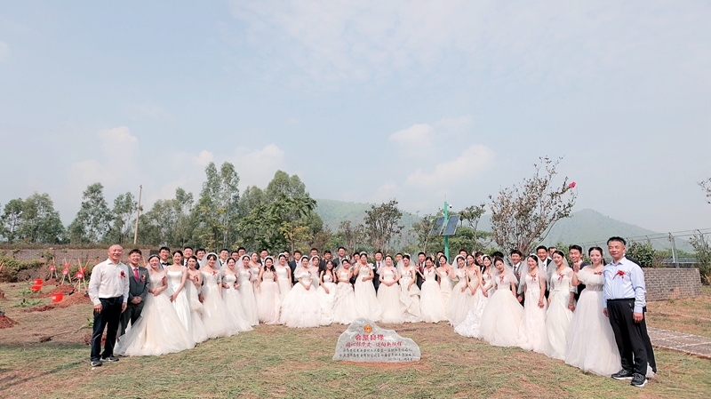 1694421377095062855.jpg 植树 插图 (1)_副本.jpg