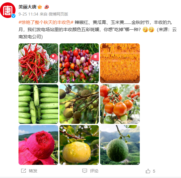 QQ图片20230928103635.png