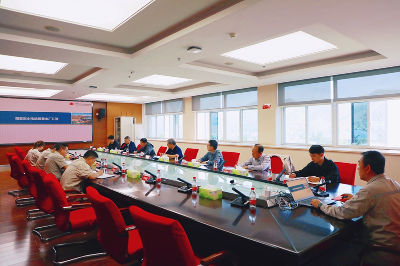 智慧电厂专家组赴观音岩水电公司调研照片_副本.jpg