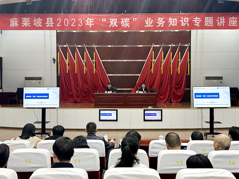 1700119596698037042.jpg 图3:杨舒尧 (2)_副本.jpg