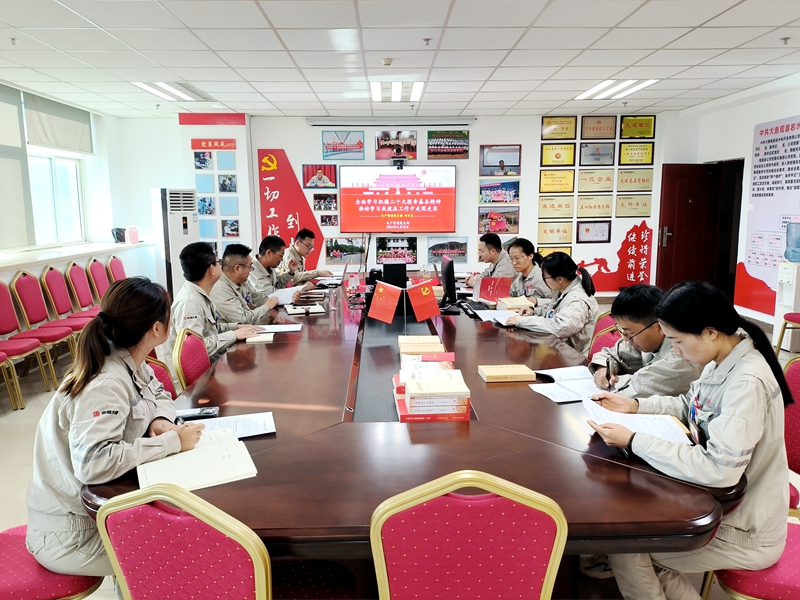 观音岩水电公司生产管理党支部开展主题教育专题党课 推动学习成效走深走实_副本.jpg