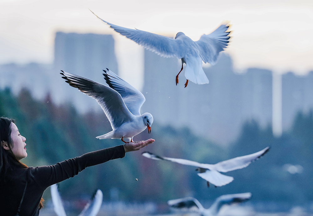 IMG_5104 拷贝.jpg