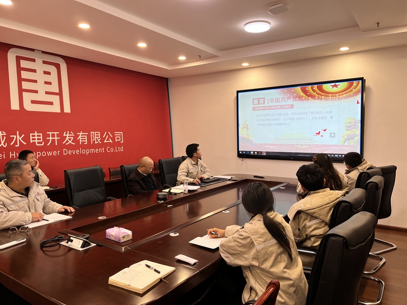 宣威水电公司开展讲党课活动，深入学习《中国共产党纪律处分条例》 (2)_副本.jpg