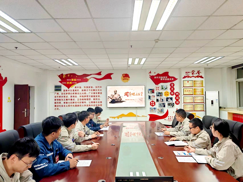 观音岩水电公司团委开展“纪念周恩来总理逝世48周年”主题团日活动_副本.jpg