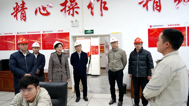 李树军同珠江水利委员会杨丽萍到宣威水电公司调研照片3_副本.jpg