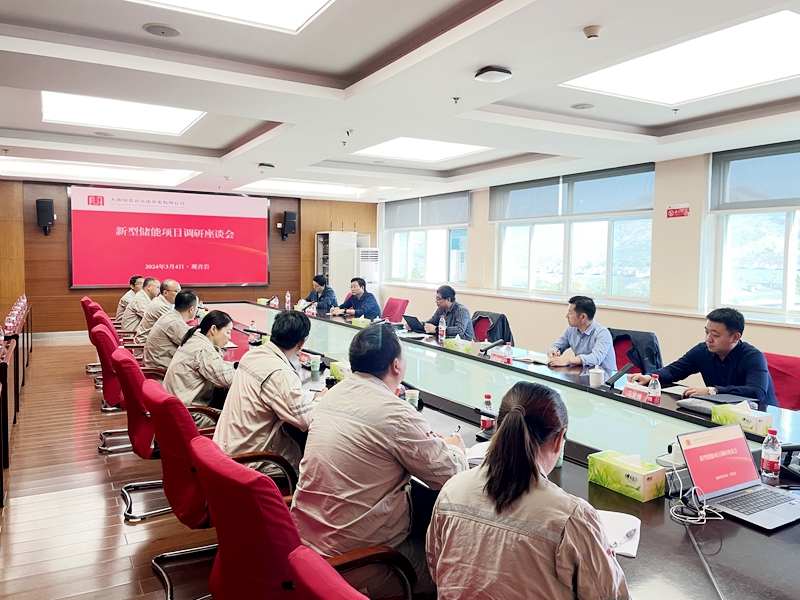 长江设计集团赴观音岩水电公司调研新型储能项目 (1)_副本.jpg