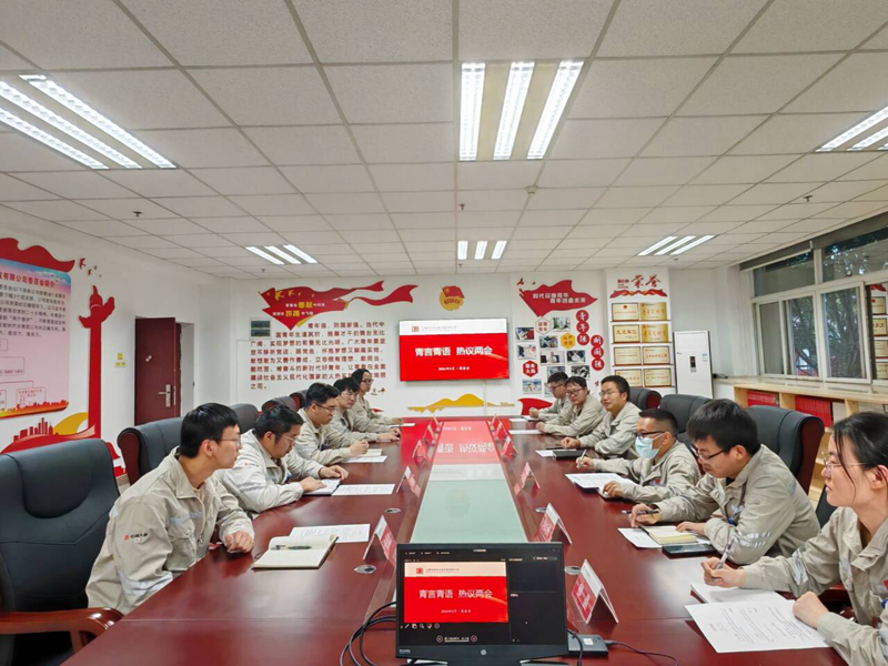 观音岩水电公司开展“青言青语，热议两会”主题团日活动_副本.png