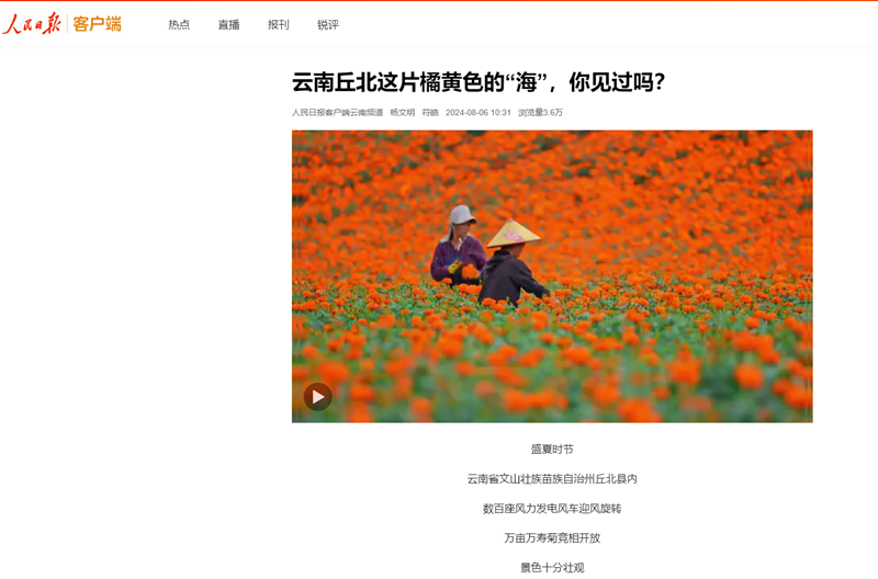微信图片_20240806175700.png